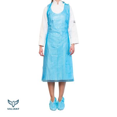 Apron PE Disposable Boxed Blue 1250mm Valiant® 1000/ctn