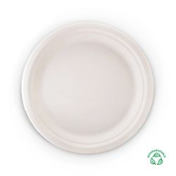 DISPOSABLE PLATES