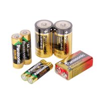 Batteries Panasonic Alkaline "D" 10/pk