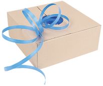 PP Strapping Premium Blue 15mmx1000m