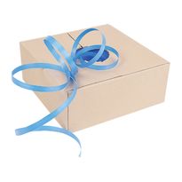 PP Strapping Premium Blue 19mmx1000m