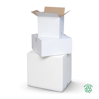 WHITE SHIPPING CARTONS