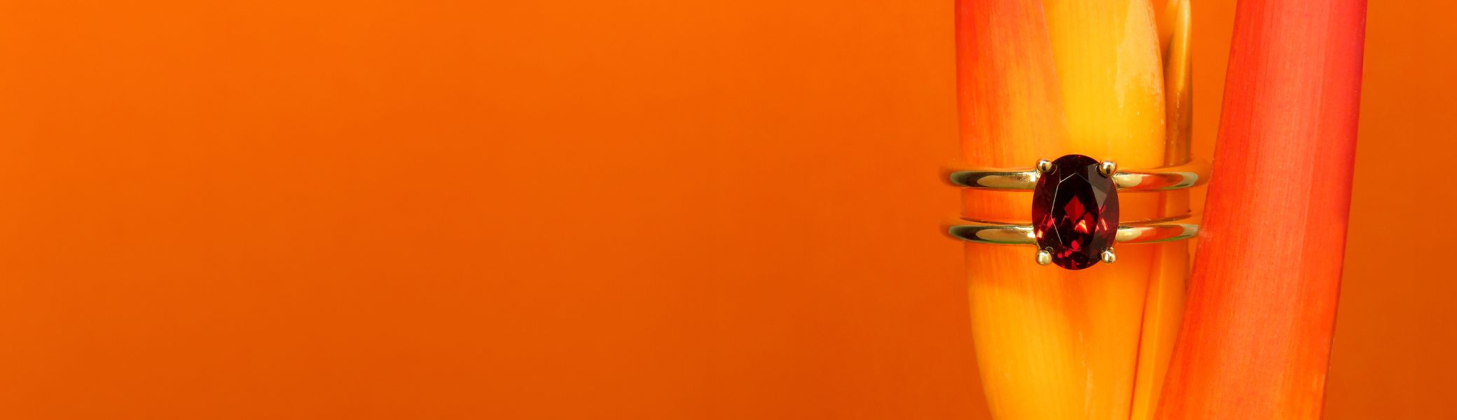 <h2>DAZZLE IN A KALEIDOSCOPE OF COLOURS</h2><p>Immerse yourself in a world of vibrant hues with our Fine Gems jewellery collection!</p><button>FINE GEMS COLLECTION</button>