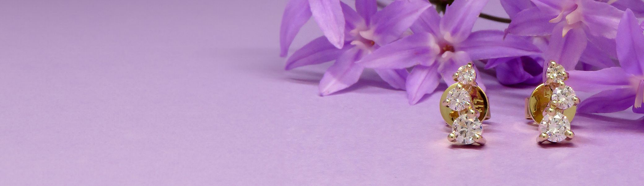 <h2>SHINE BRIGHTER,<br> SPARKLE SMARTER</h2><p>Discover the future of luxury with Biron Laboratory Grown Jewellery.</p><button>BIRON LABORATORY GROWN DIAMONDS</button>