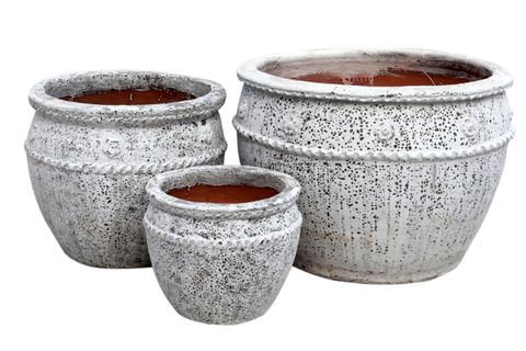 Annamite Planter S/3 White Coral