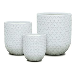 Shell Planter S/3 Sandy White