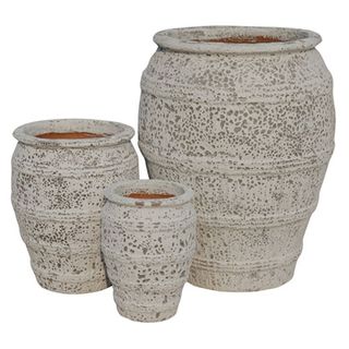 Gorgeia Admiral Urn S/3 White Coral