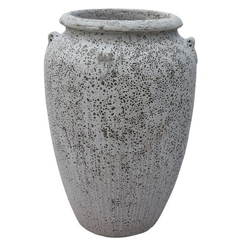 Gorgeia Classic Urn White Coral