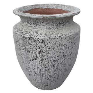 Gorgeia Grand Urn White Coral