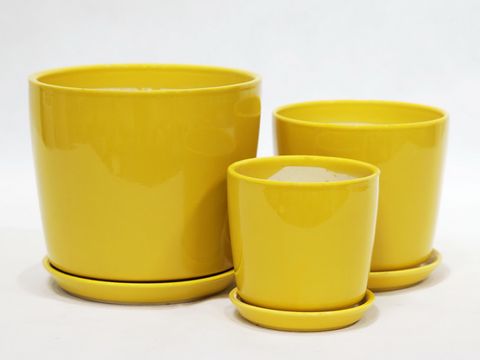 Maya Cone S/3 Yellow (4)