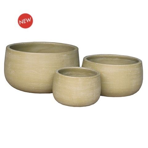 Aloe Bowl S/3 Lemon (4)
