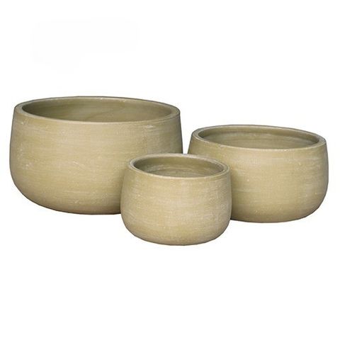Aloe Bowl S/3 Lemon (4)