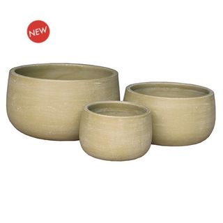 Aloe Bowl S/3 Lemon (4)
