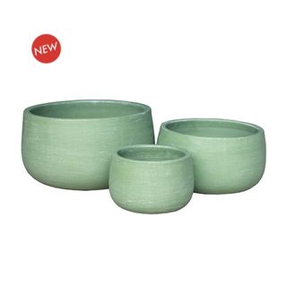Aloe Bowl S/3 Sage (4)
