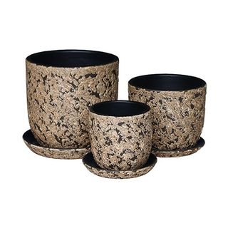 Nautilus S/3 Coral Brown (6)