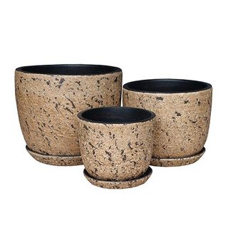 Nautilus Large S/3 Coral Brown