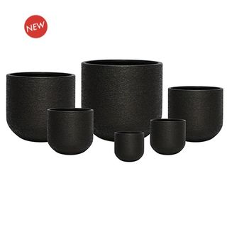 Bronya U Planter S/6 Black