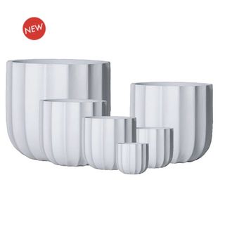 Emerson Large S/6 White