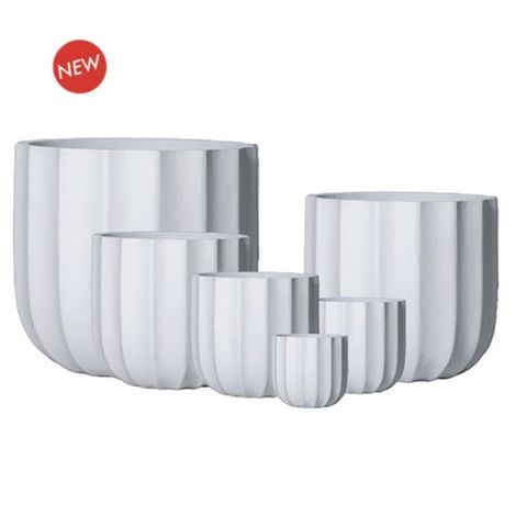 Emerson Large S/6 White