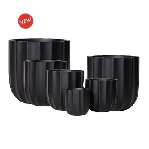 Emerson Large S/6 Black
