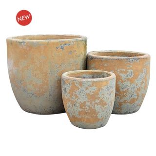 Annatto Egg S/3 Antique Orange