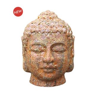 Fossil Buddha Head Rust