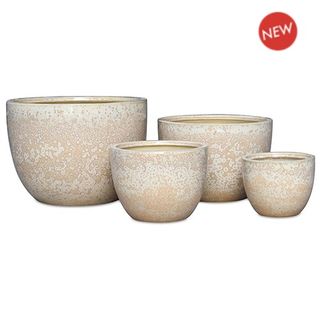 Vinh Egg S/4 Cream