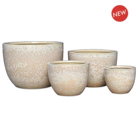 Vinh Egg S/4 Cream