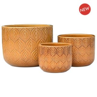 Ebony Pot S/3 Honey Brown