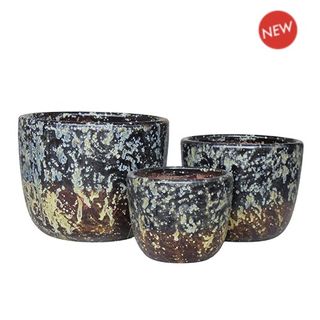 Koha Egg S/3 Sahara