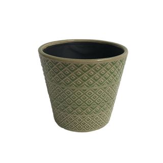 Argyle Cone Green Tea (8)