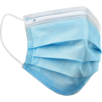 Disposable Protective Masks