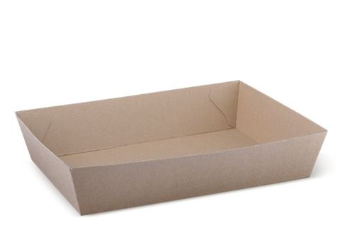 Endura Food Tray #5 (255 X 179 X 58)