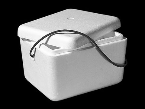 Poly Container 10Lt 1914