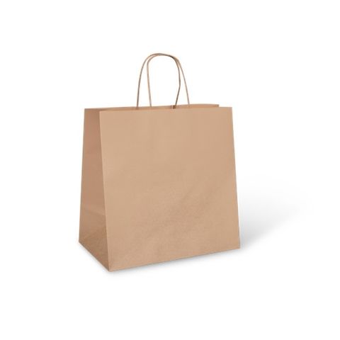 Kraft Twist Handle Carry Bag