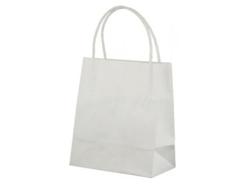 White Paper Twist Handle Bag
