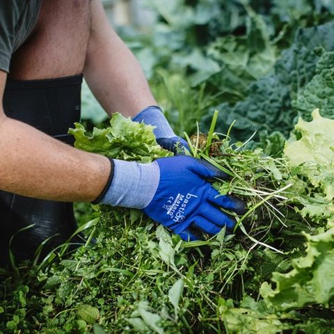 MATARO BLUE NYLON GLOVES