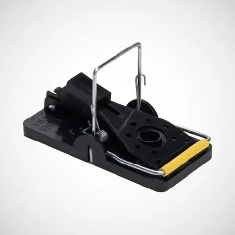 Snap Mouse Trap
