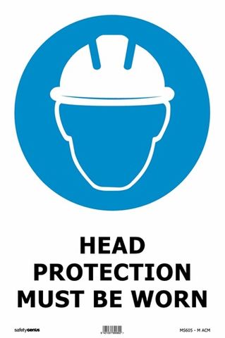 Sign- Head Protection