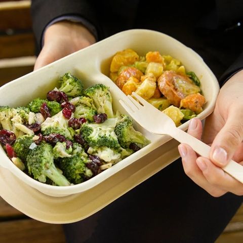 Sugarcane Food Box 2 Compartment 1000ml 50 Per Slv