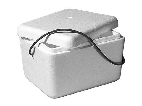 Poly Container 10Lt 1914