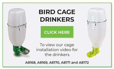 Bird Drinkers