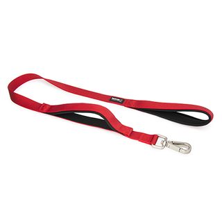 Dog - Leads