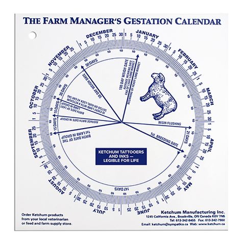 GESTATION CALENDER - LAMB