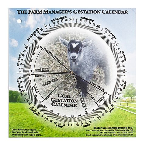 GESTATION CALENDER - GOAT