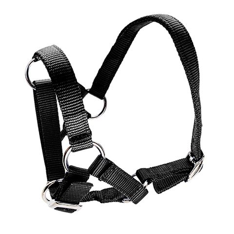 HALTER FOR ALPACAS - BLACK