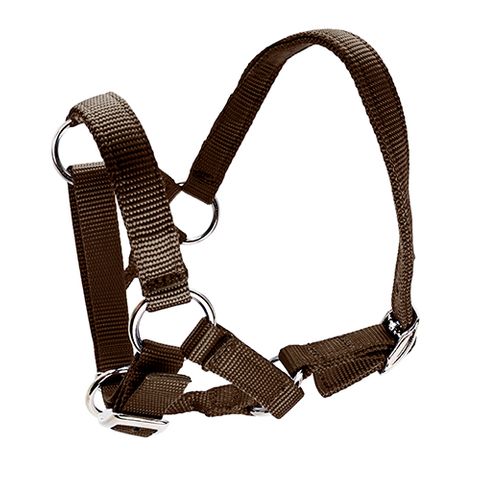 HALTER FOR ALPACAS - BROWN