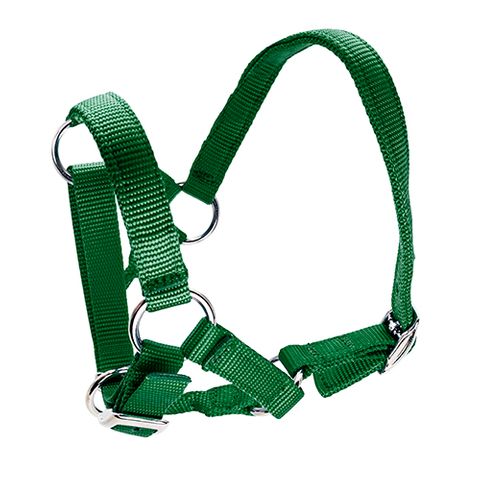 HALTER FOR ALPACAS - GREEN