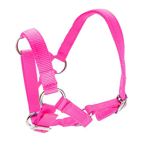 HALTER FOR ALPACAS - PINK