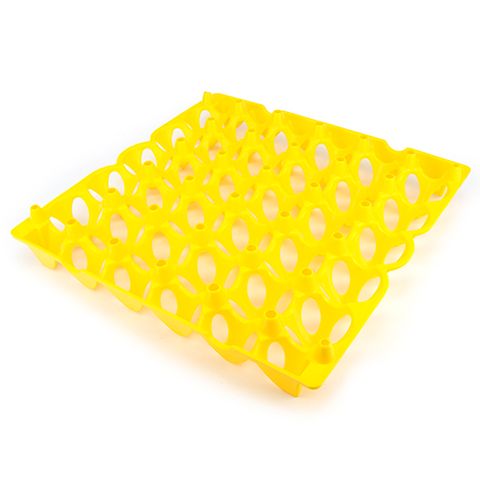 Egg Tray